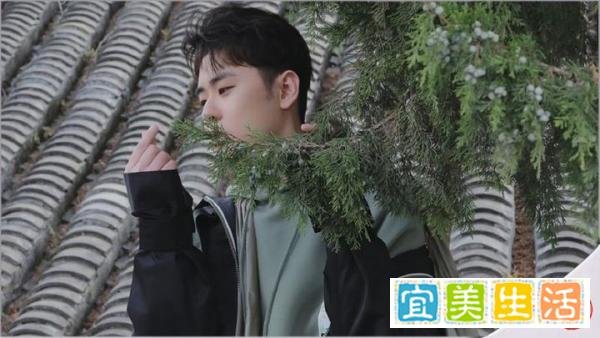 迫于压力！张云雷终于道歉了，令人无语的是仍有人为其喊冤叫屈