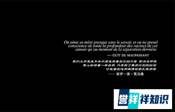 哈维尔·多兰——有人说他是加拿大的王家卫，我信
