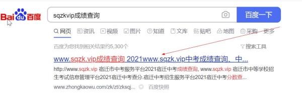 sqzkvip怎么查成绩