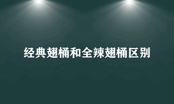 经典翅桶和全辣翅桶区别