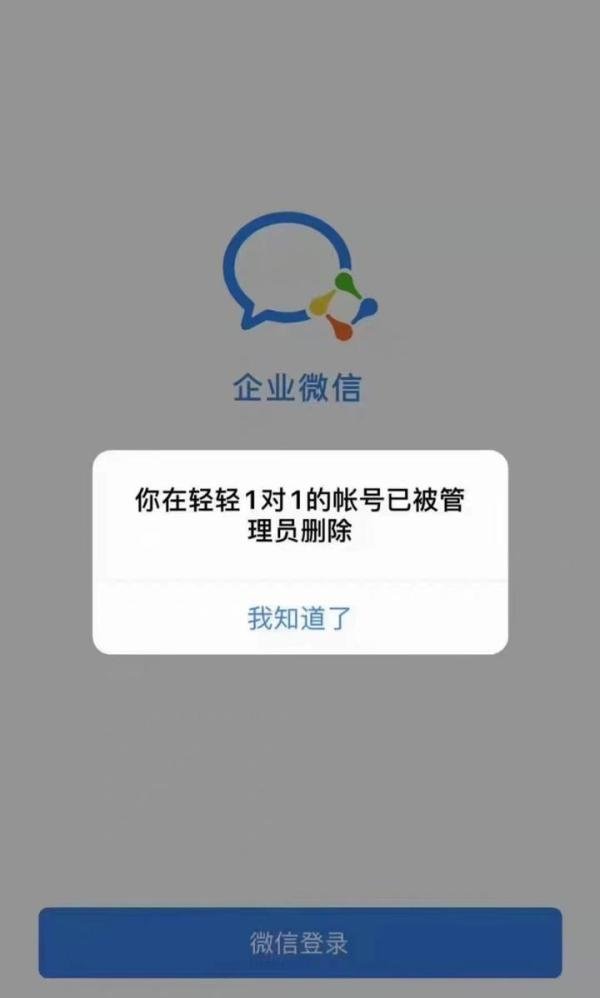轻轻教育跑路，双减下教培人何去何从