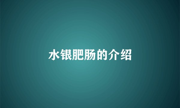 水银肥肠的介绍
