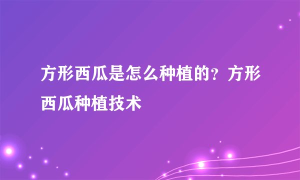 方形西瓜是怎么种植的？方形西瓜种植技术