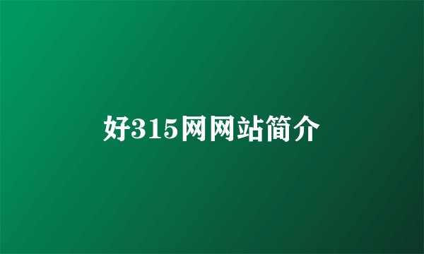好315网网站简介