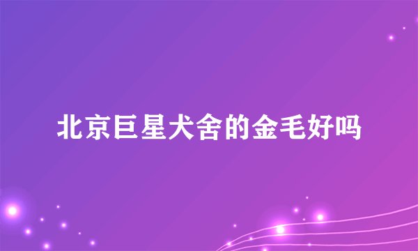 北京巨星犬舍的金毛好吗