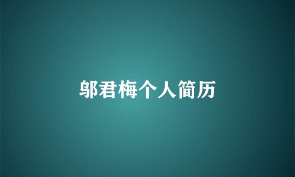 邬君梅个人简历
