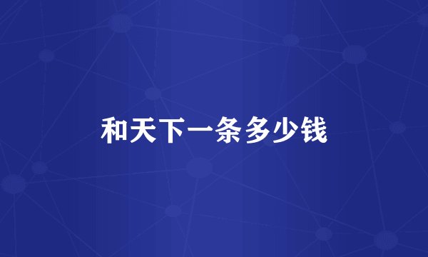 和天下一条多少钱