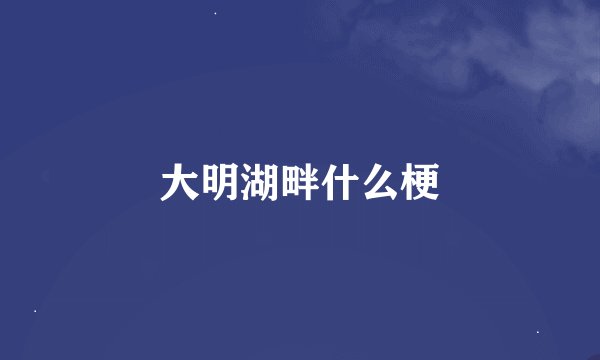 大明湖畔什么梗