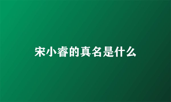 宋小睿的真名是什么