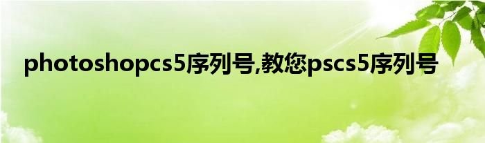 PhotoshopCS5序列号?？？