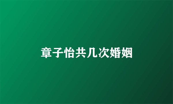 章子怡共几次婚姻