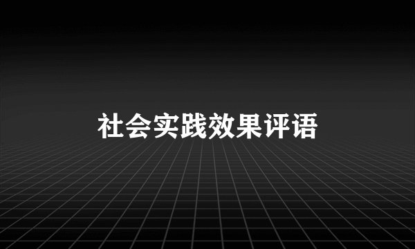 社会实践效果评语