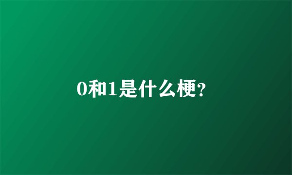0和1是什么梗？