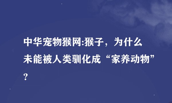 中华宠物猴网:猴子,为什么未能被人类驯化成“家养动物”?