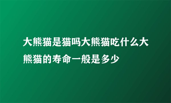 大熊猫是猫吗大熊猫吃什么大熊猫的寿命一般是多少