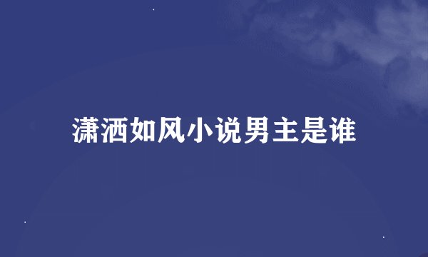 潇洒如风小说男主是谁