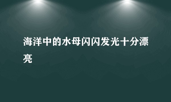 海洋中的水母闪闪发光十分漂亮