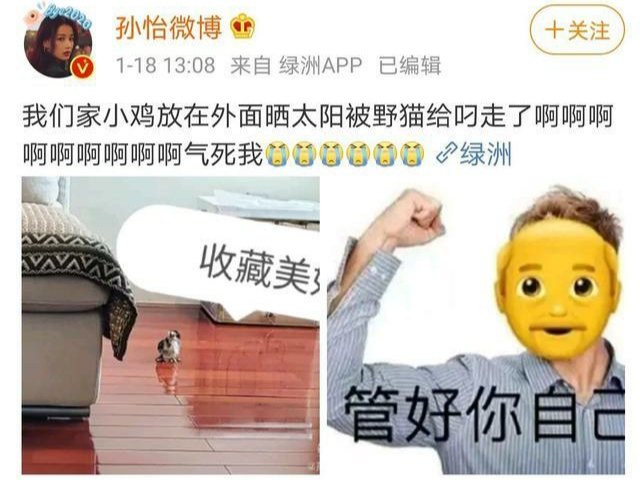 孙怡家的小鸡被野猫给叼走了，野猫对于社会来说有哪些害处？