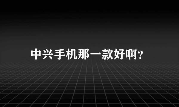 中兴手机那一款好啊？