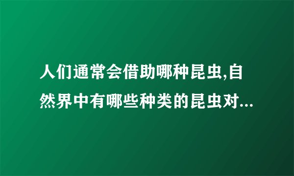 人们通常会借助哪种昆虫,自然界中有哪些种类的昆虫对人类有帮助?