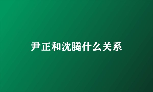 尹正和沈腾什么关系
