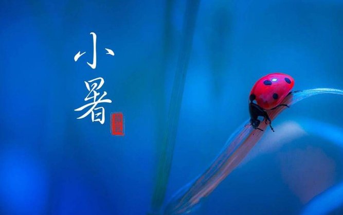采集几则农谚，说说它们包含的物候知识？？？？？？？？ 急求！！！！！！！！！！！！