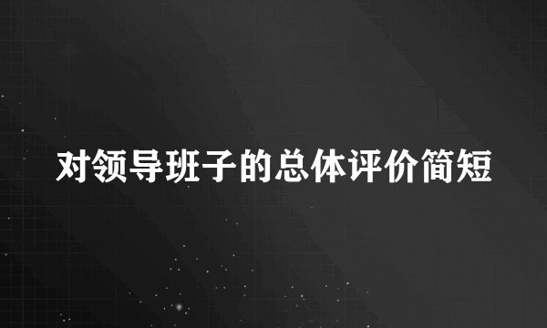 对领导班子的总体评价简短