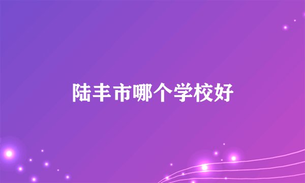 陆丰市哪个学校好