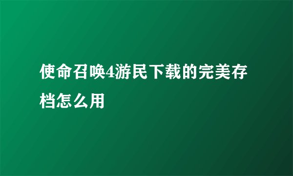 使命召唤4游民下载的完美存档怎么用