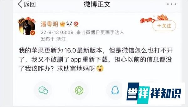 微信新版本：微信8.0.29版本来了，未适配“灵动岛”