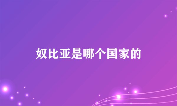 奴比亚是哪个国家的