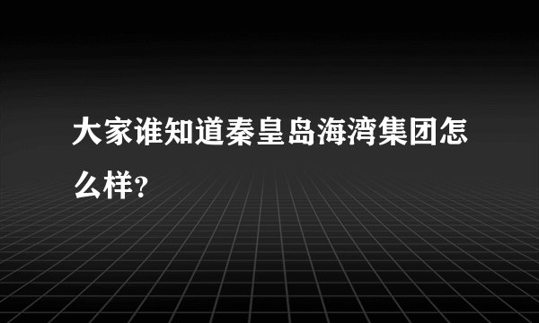 大家谁知道秦皇岛海湾集团怎么样？