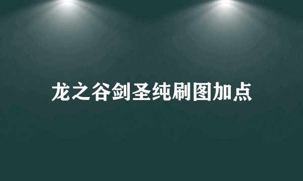 龙之谷剑圣纯刷图加点