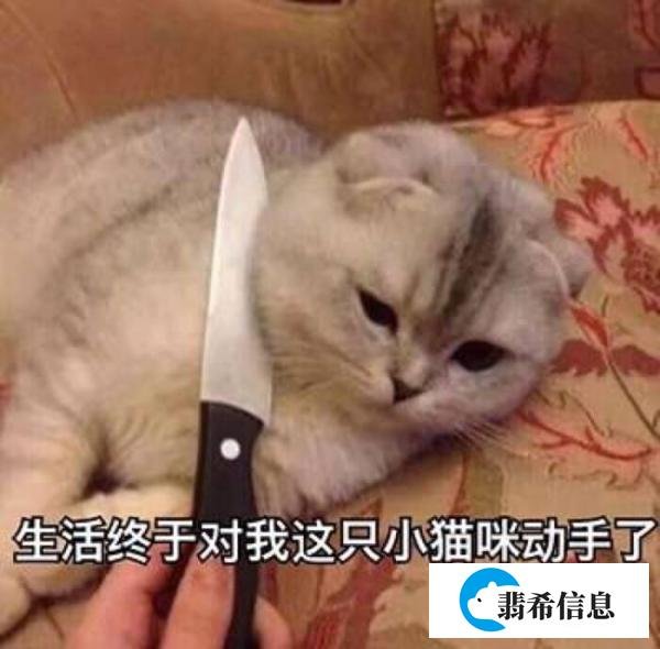在大学校园里遇到“暴露狂”该怎么办？