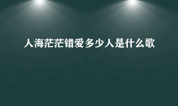 人海茫茫错爱多少人是什么歌
