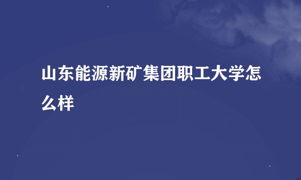 山东能源新矿集团职工大学怎么样