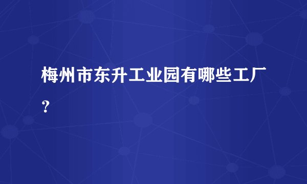梅州市东升工业园有哪些工厂？