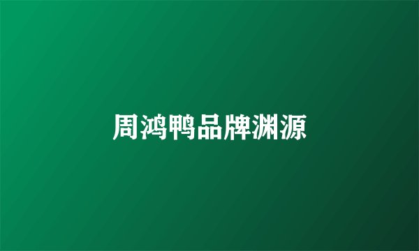 周鸿鸭品牌渊源
