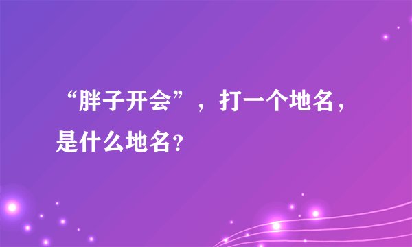 “胖子开会”，打一个地名，是什么地名？