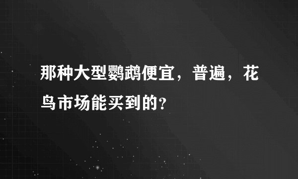 那种大型鹦鹉便宜，普遍，花鸟市场能买到的？