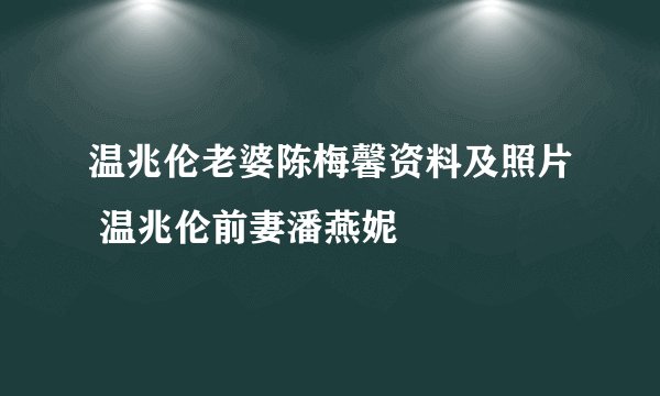 温兆伦老婆陈梅馨资料及照片 温兆伦前妻潘燕妮