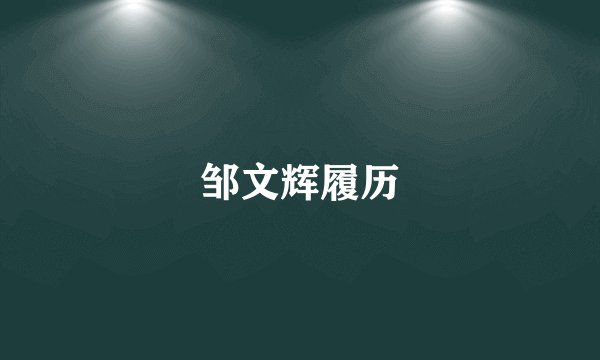 邹文辉履历