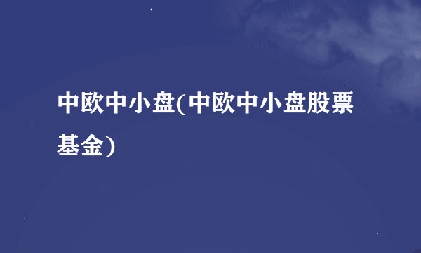 中欧中小盘(中欧中小盘股票基金)