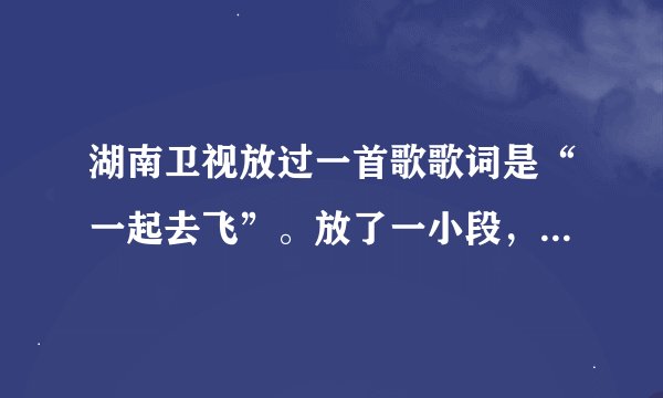 湖南卫视放过一首歌歌词是“一起去飞”。放了一小段，好像是电视剧插曲。知道的告诉下。谢谢