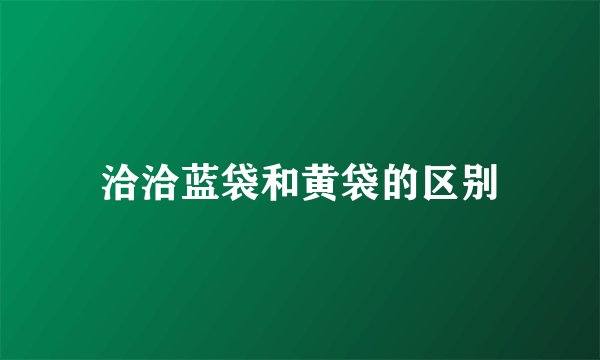 洽洽蓝袋和黄袋的区别