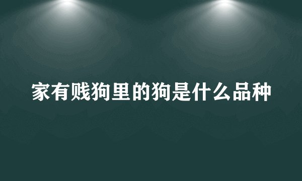 家有贱狗里的狗是什么品种