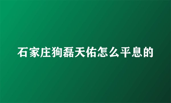 石家庄狗磊天佑怎么平息的