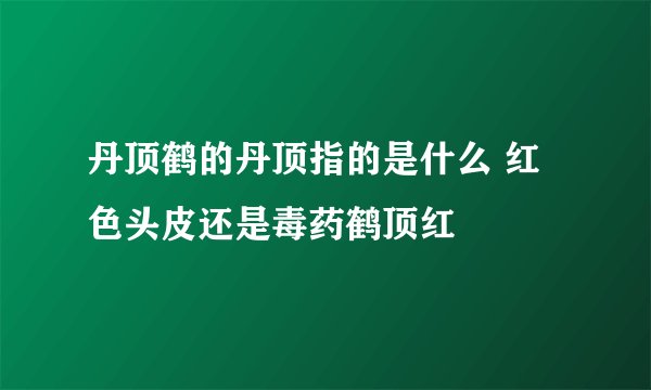 丹顶鹤的丹顶指的是什么 红色头皮还是毒药鹤顶红