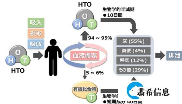 日本核污染处理水到底是啥，日本老百姓不害怕么