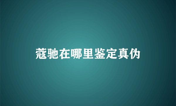 蔻驰在哪里鉴定真伪